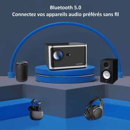 exemple d'appareils audio pouvant être connectés